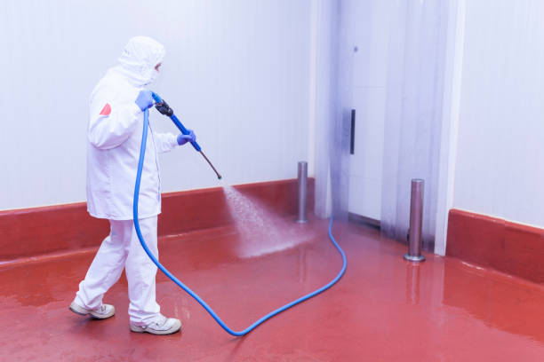 Best Solar Panel Cleaning  in Lawrence, NY